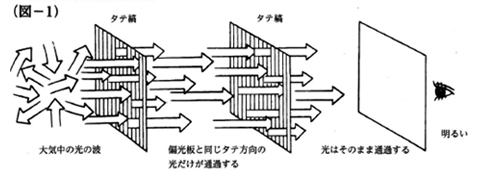 偏光板ってどんなもの？