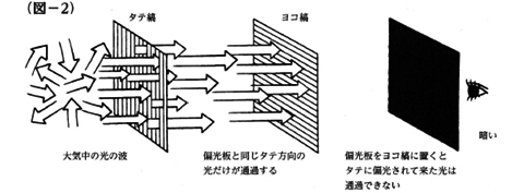 偏光板ってどんなもの？