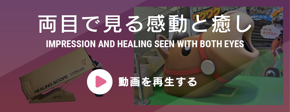 両目で見る感動と癒し
